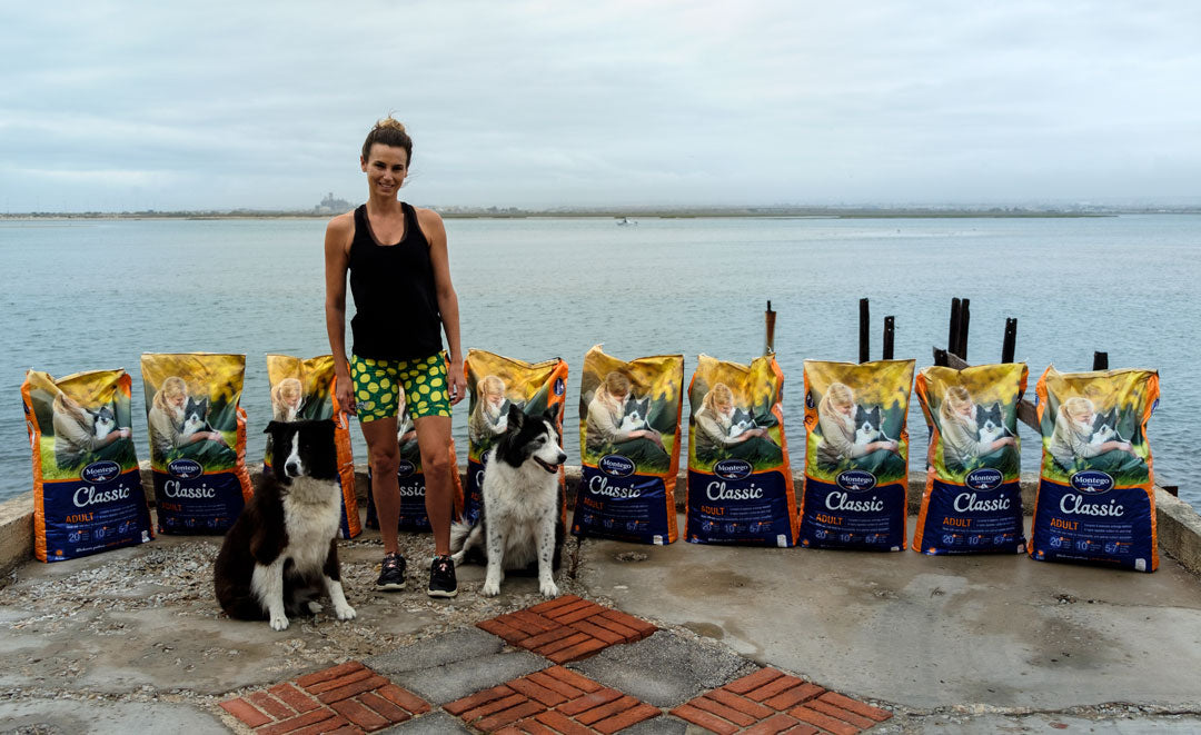 Donating 250kg Of Dog Food To AWS